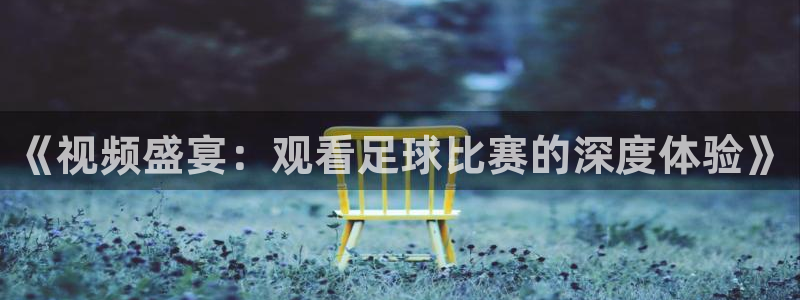 《视频盛宴：观看足球比赛的深度体验》