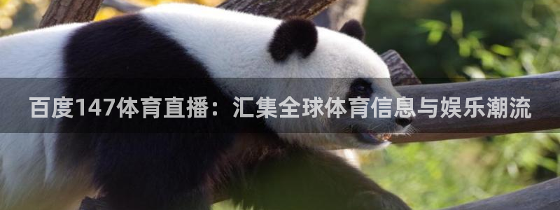 百度147体育直播：汇集全球体育信息与娱乐潮流