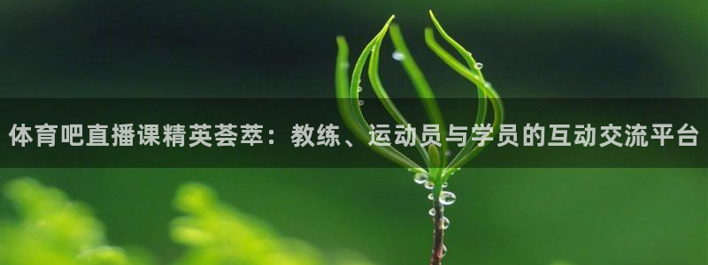 体育吧直播课精英荟萃：教练、运动员与学员的互动交流平台