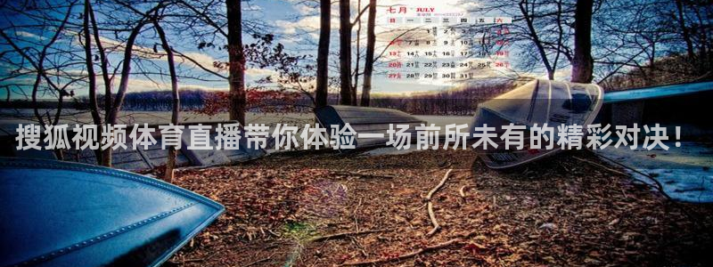 搜狐视频体育直播带你体验一场前所未有的精彩对决！
